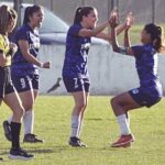 Asi paso la novena fecha rumbo a los Playoffs de la primera división en ambas zonas